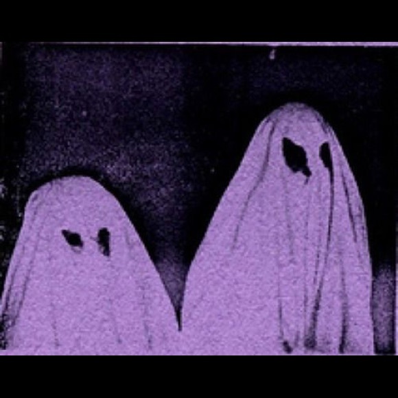 Meet your Posher, Jasmine - Picture 3 of 3